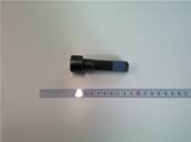 Vis M18x2x70 10.9 Eco Log 7014834