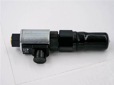 Valve de scie Log Max RE10000803