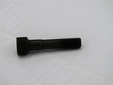 Vis TCHC 21453372