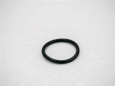 Joint O-ring Eco Log 7019377