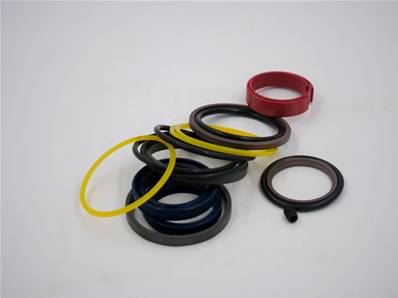 Kit joints vérin de télescope CRANAB 7036898