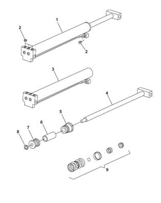 Vérin hydraulique berce, assemblage 9992662