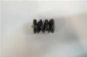 Jeu de ressort K170 Log Max RE620519