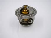 Thermostat VOLVO 21746213