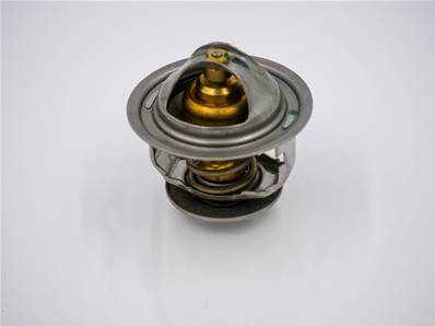 Thermostat Eco Log 7038212