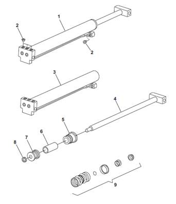 Vérin d'extension berce, assemblage 9901879