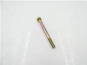 Vis TH M10x110 10.9 Zn 2471A110