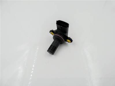 Capteur de température et d'humidité 60290B