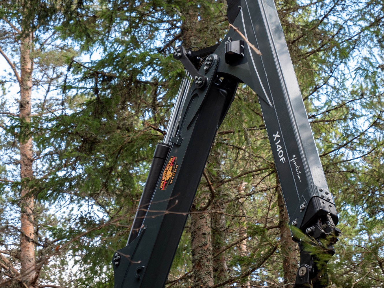 Epsilon crane | Cuoq Forest Diffusion