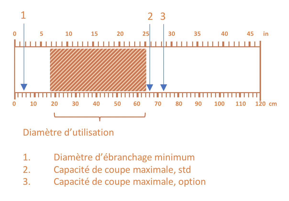 Mesure diamtre de coupe | Cuoq Forest Diffusion