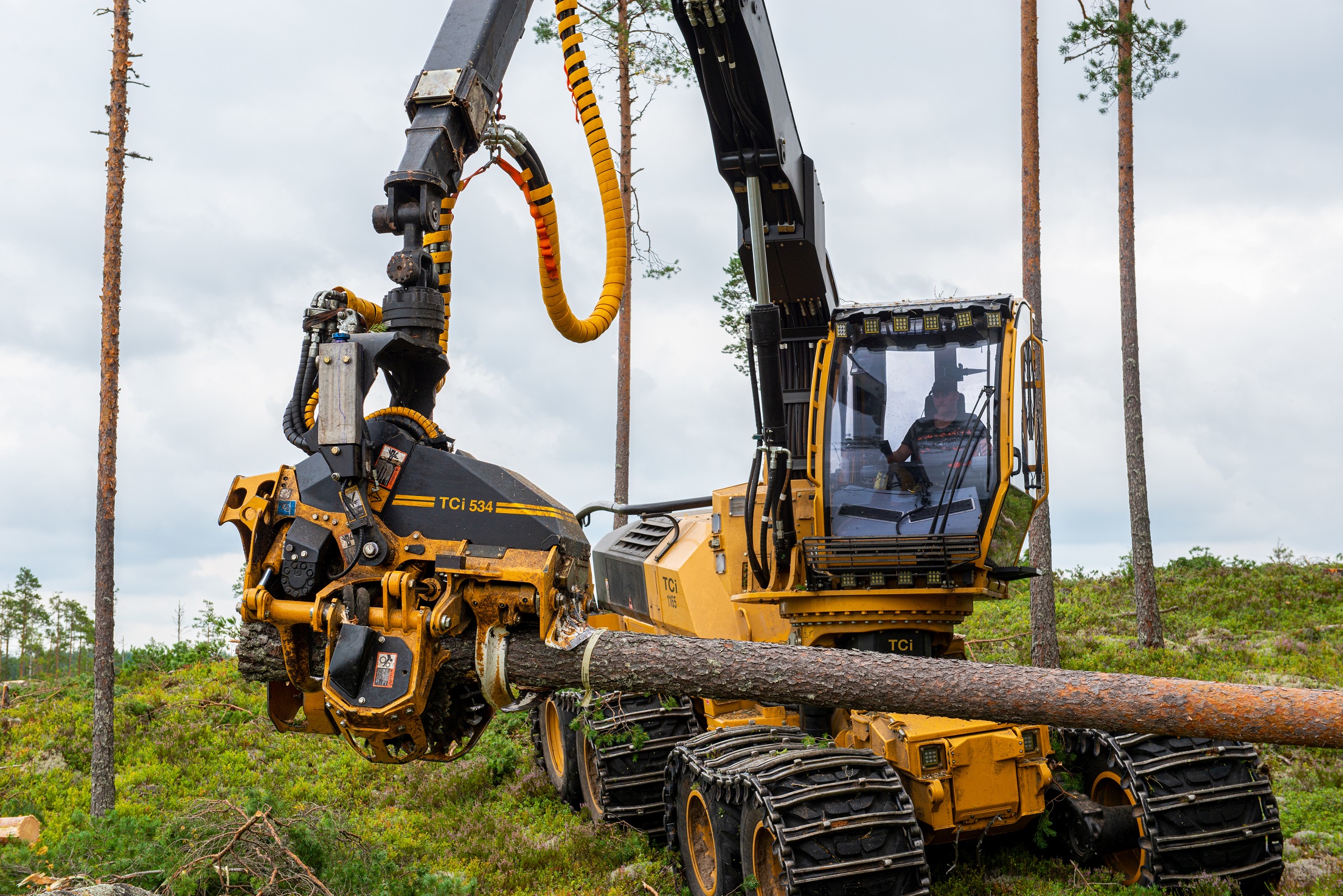 TCi 1165 Crane | Cuoq Forest Diffusion