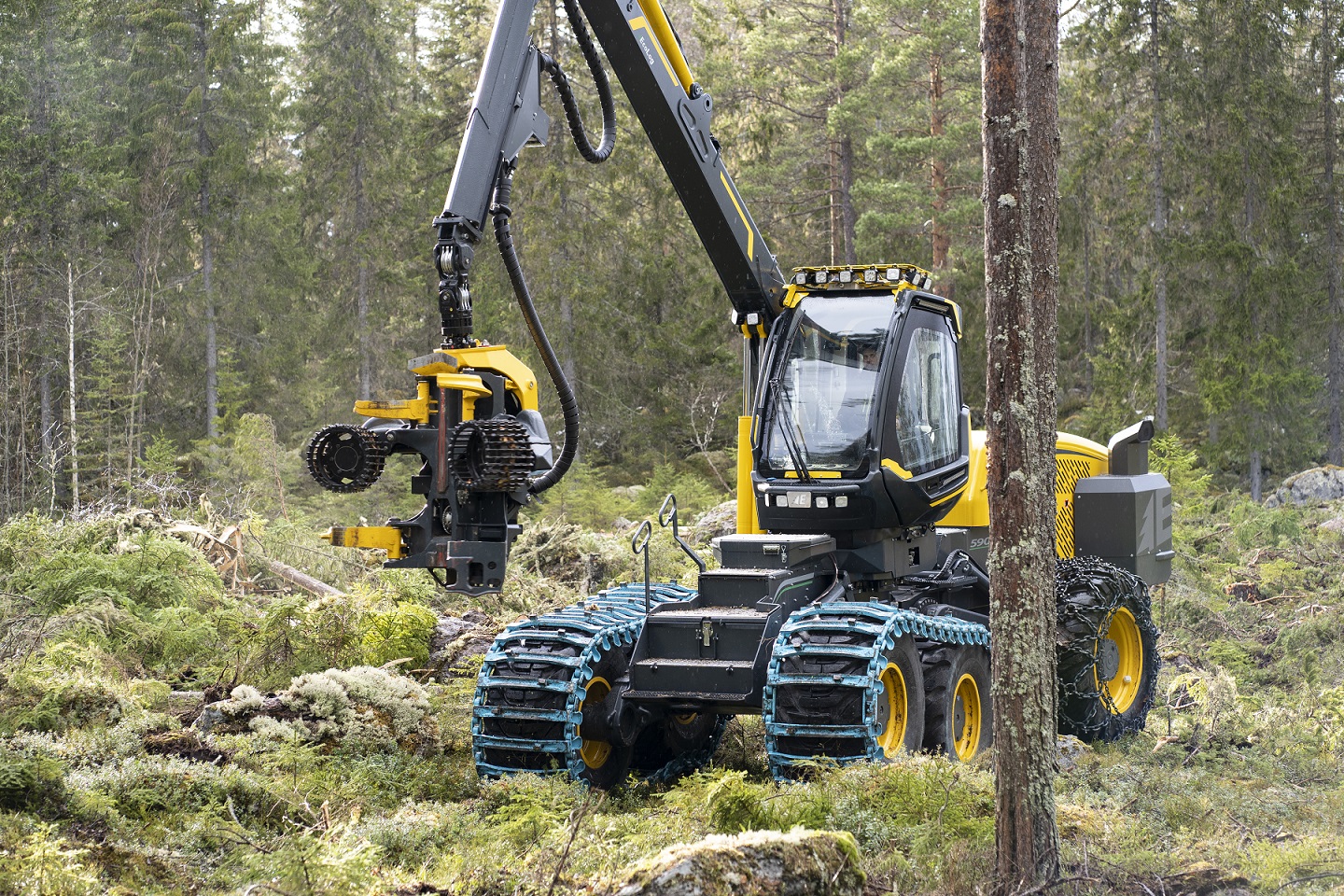 G Series Harvester Eco Log | Cuoq Forest Diffusion