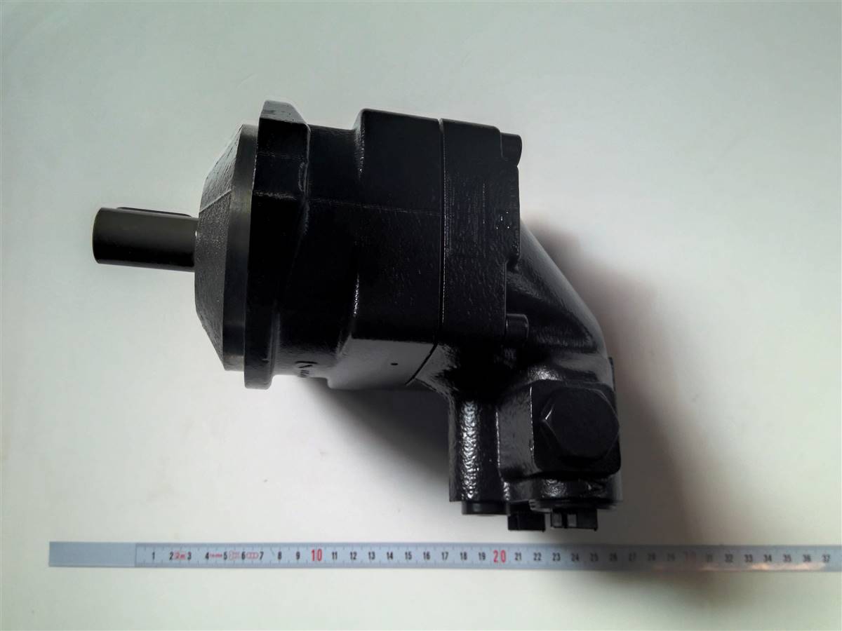 Moteur de scie F11-19 Log Max RE609119