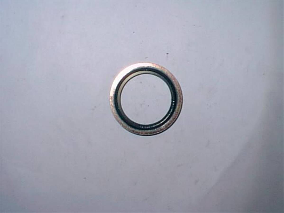 Bague d'étanchéité 1'' Log Max RE601105